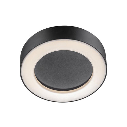 Teton Outdoor LED Ceiling Light