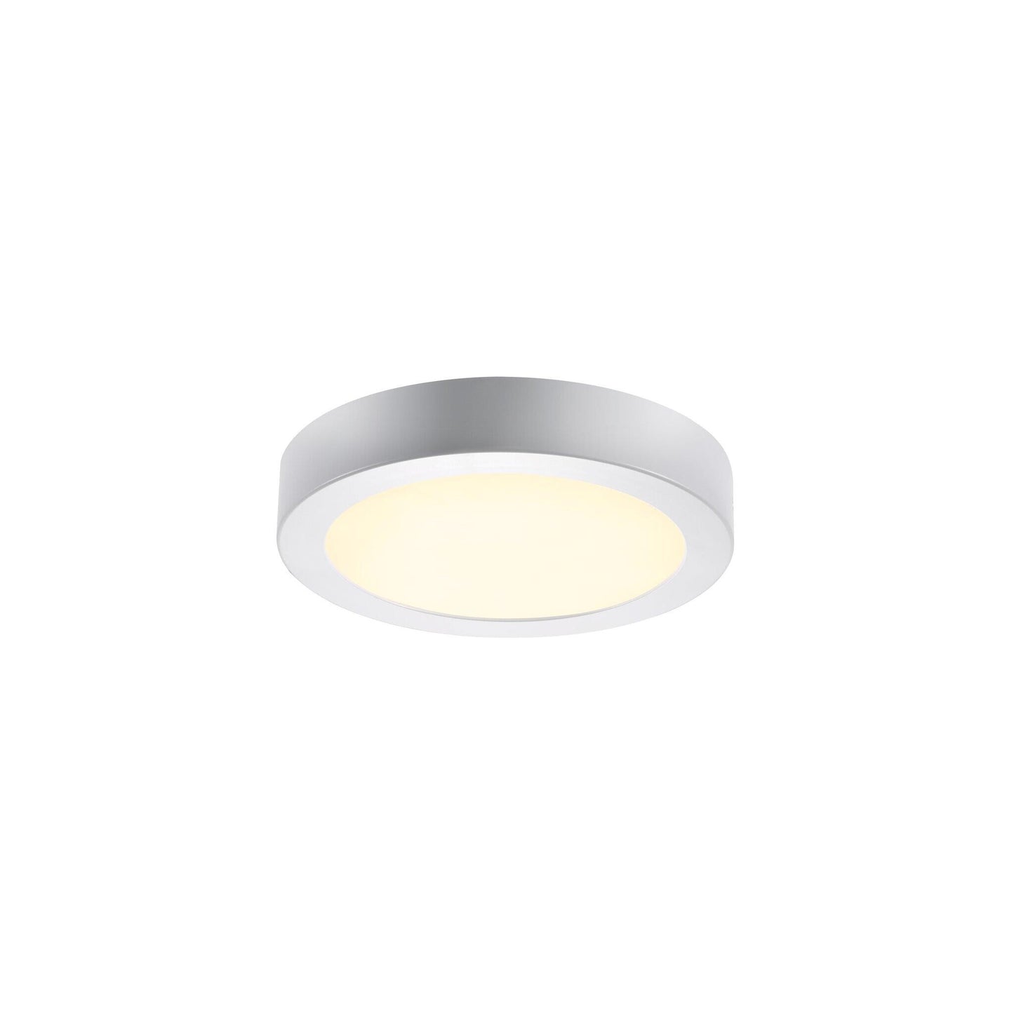Leroy LED Ceiling Light White