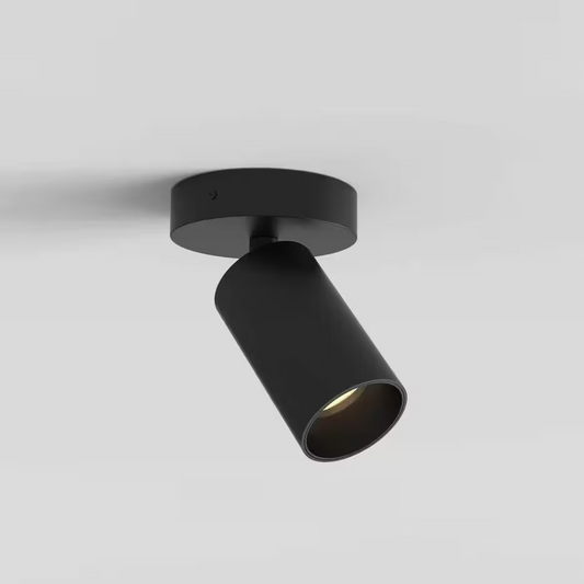 Can 50 Single Ceiling Spotlight