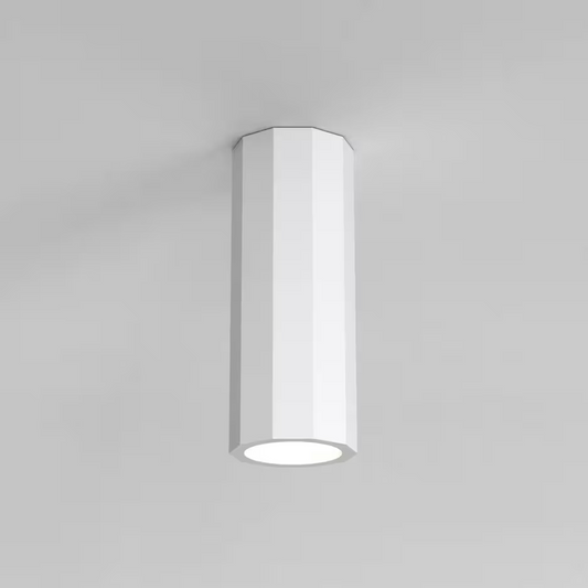 Shadow 220 Surface Ceiling Light