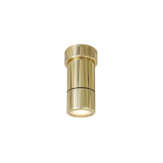 Ennis Brass Spot Ceiling Light