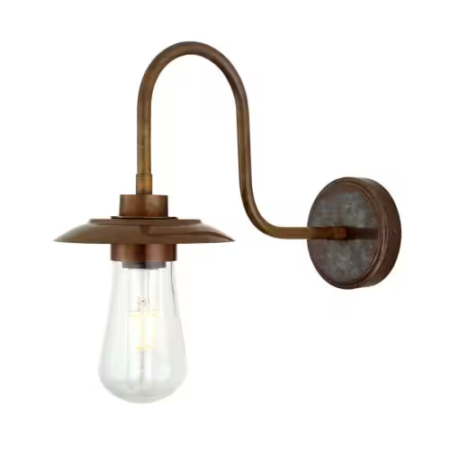 Ren Swan Neck Wall Light
