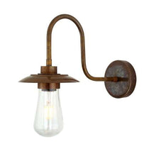 Mullan Lighting Ren Swan Neck Wall Light
