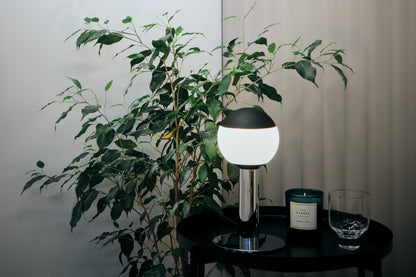 Aromas Decorative Globe Bulb