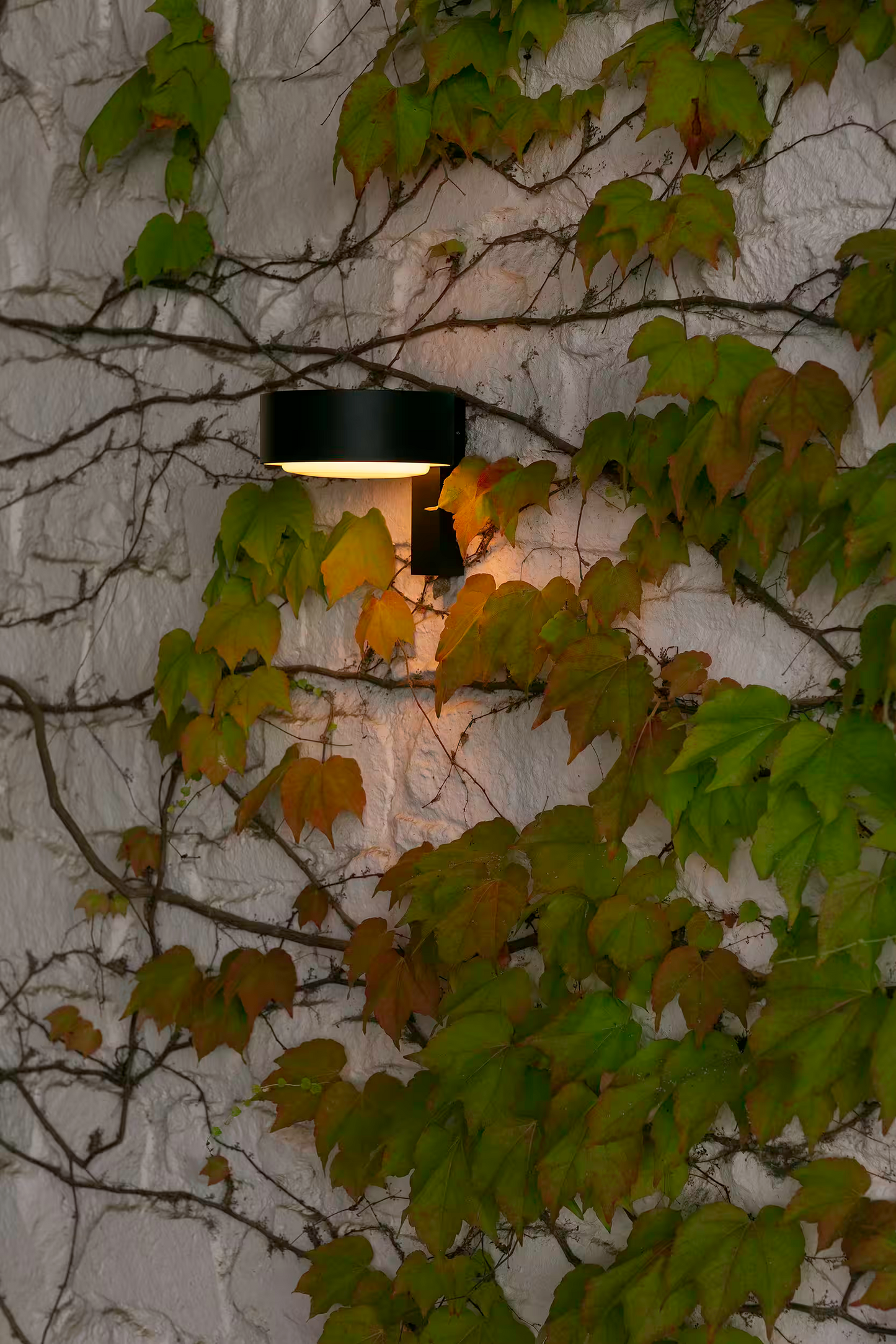 Plaff-On! A IP65 Outdoor LED Wall Light Black