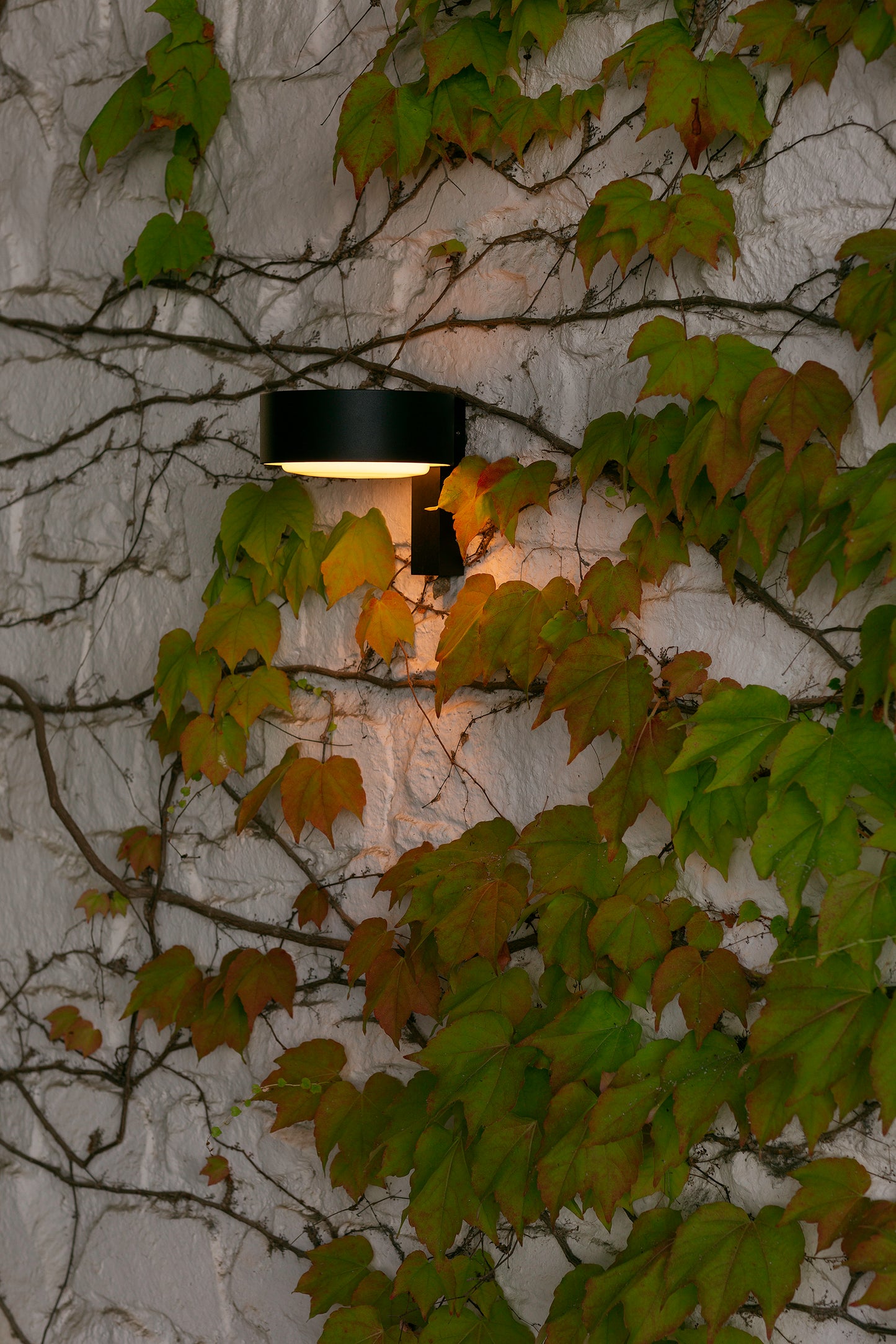Plaff-On! A IP65 Outdoor LED Wall Light Black