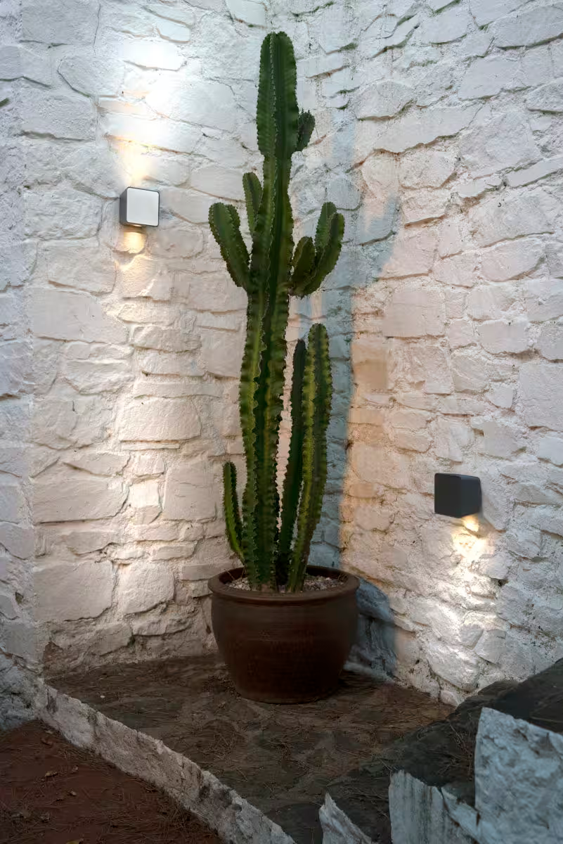 Lab 1 2020 Outdoor LED Wall Light