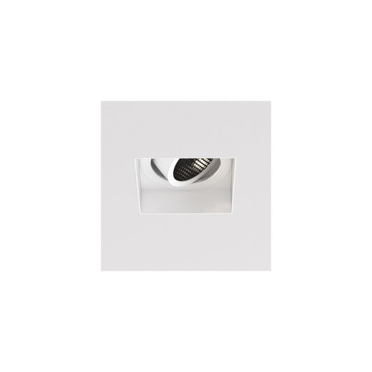 Trimless Square Adjustable Ceiling Light Matt White