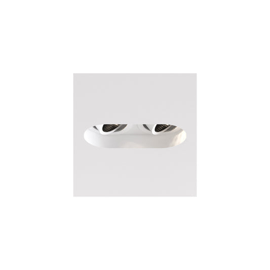Trimless Round Twin Adjustable Ceiling Light