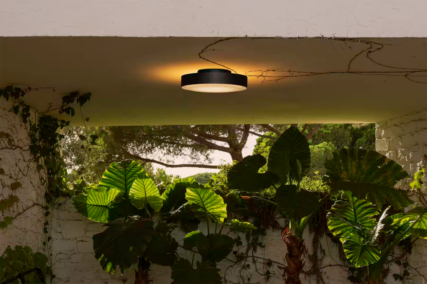 Plaff-On! 50 Outdoor Ceiling Light Black IP54