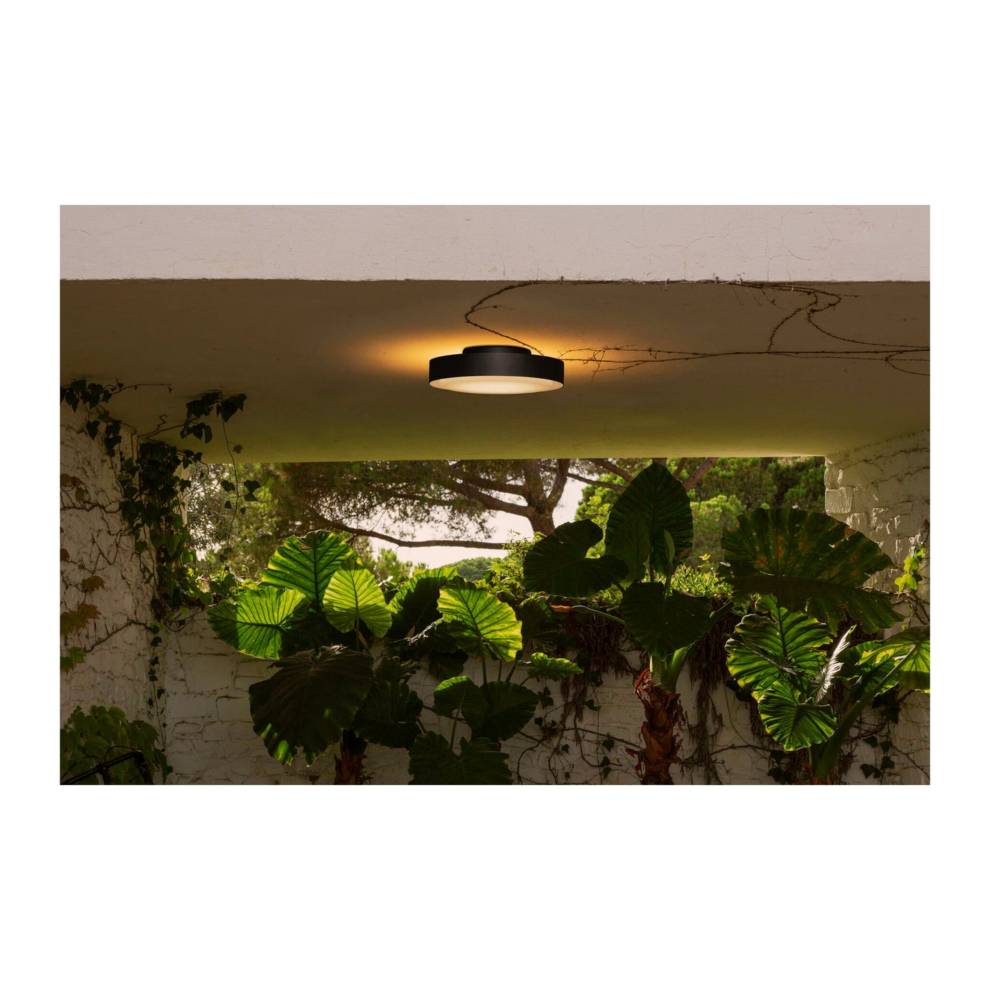 Plaff-On! 50 Outdoor Ceiling Light Black IP54