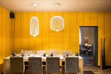 Foscarini Spokes Pendant Light