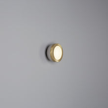 TOOY Molly Surface/Wall Light