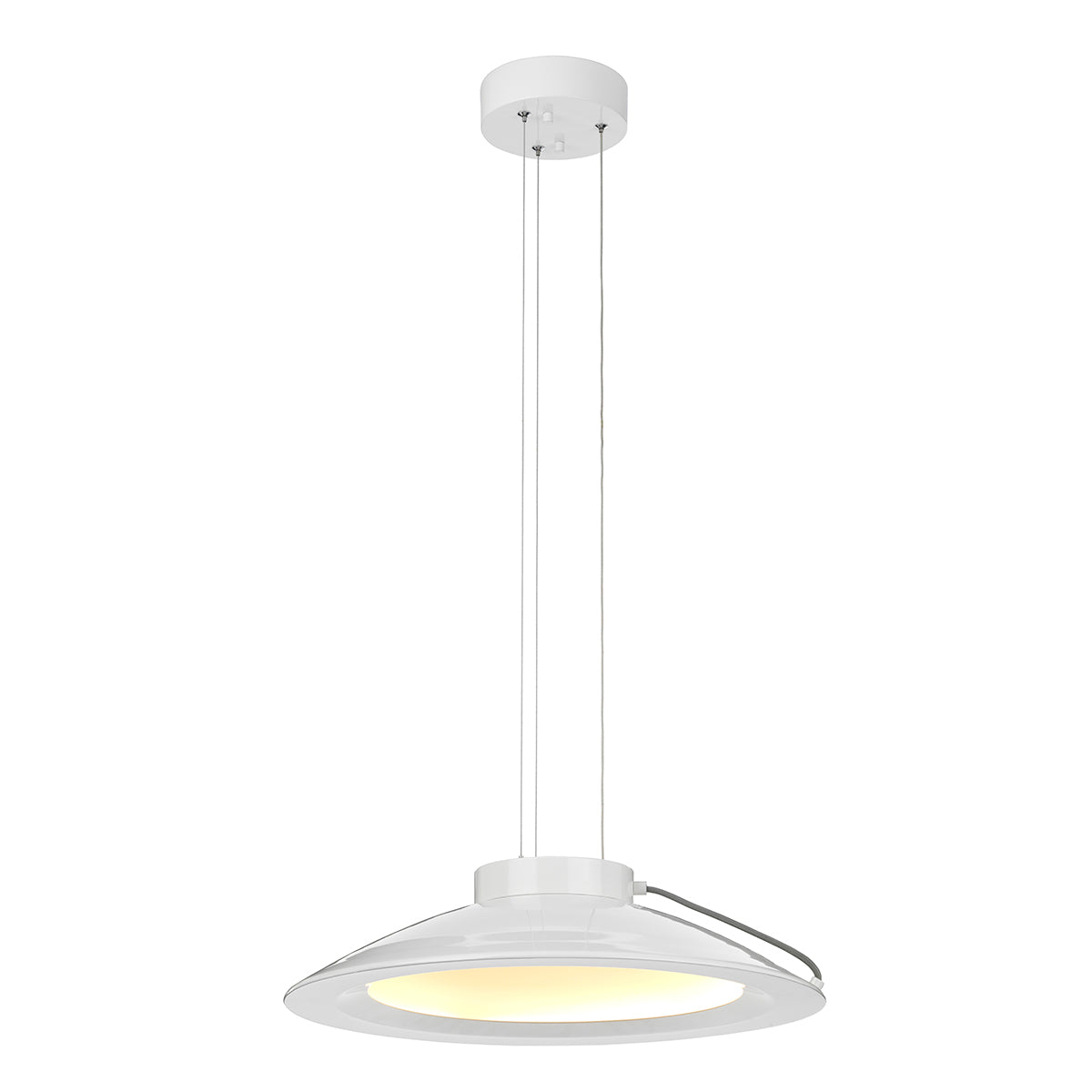 Europa 1-Light Large Pendant