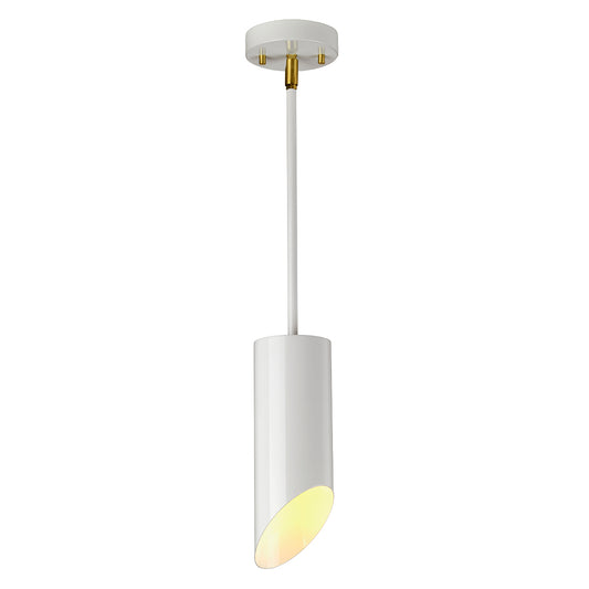 Quinto 1-Light Pendant