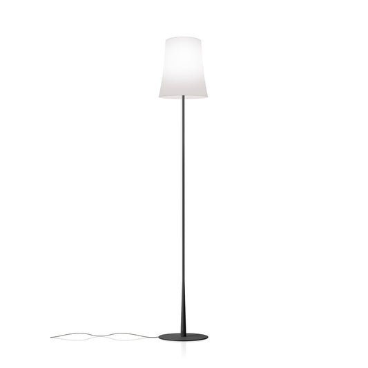 Birdie Easy Lettura Floor Lamp