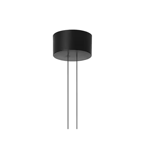 Arrangements Big Ceiling Rose Black