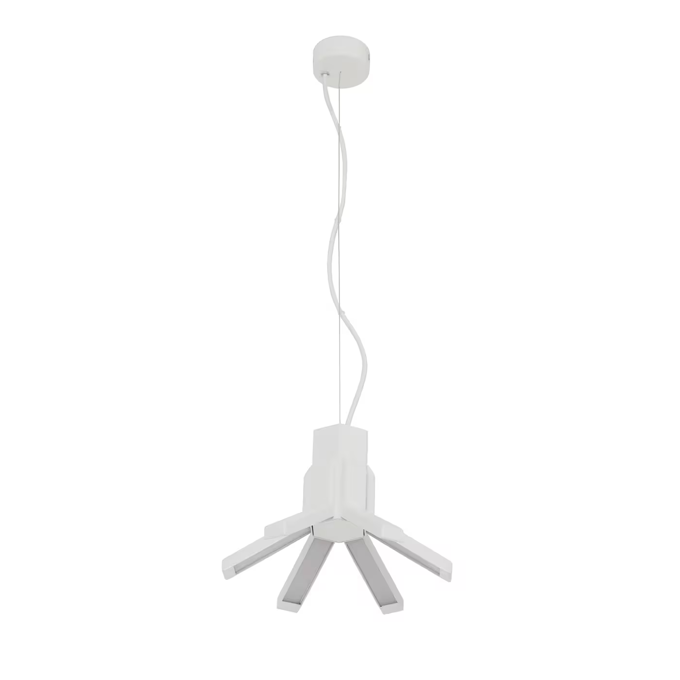 Aster M LED Pendant