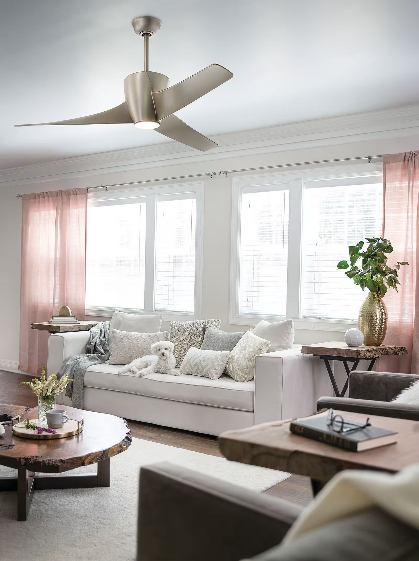 Phree Ceiling Fan & Light