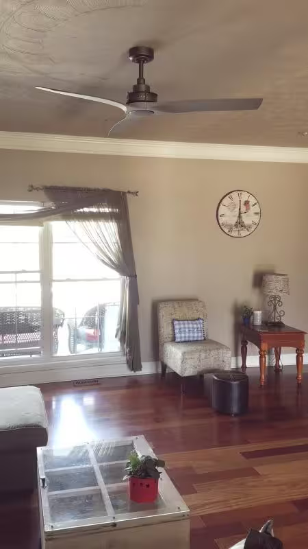 Ried Ceiling Fan Anvil Iron