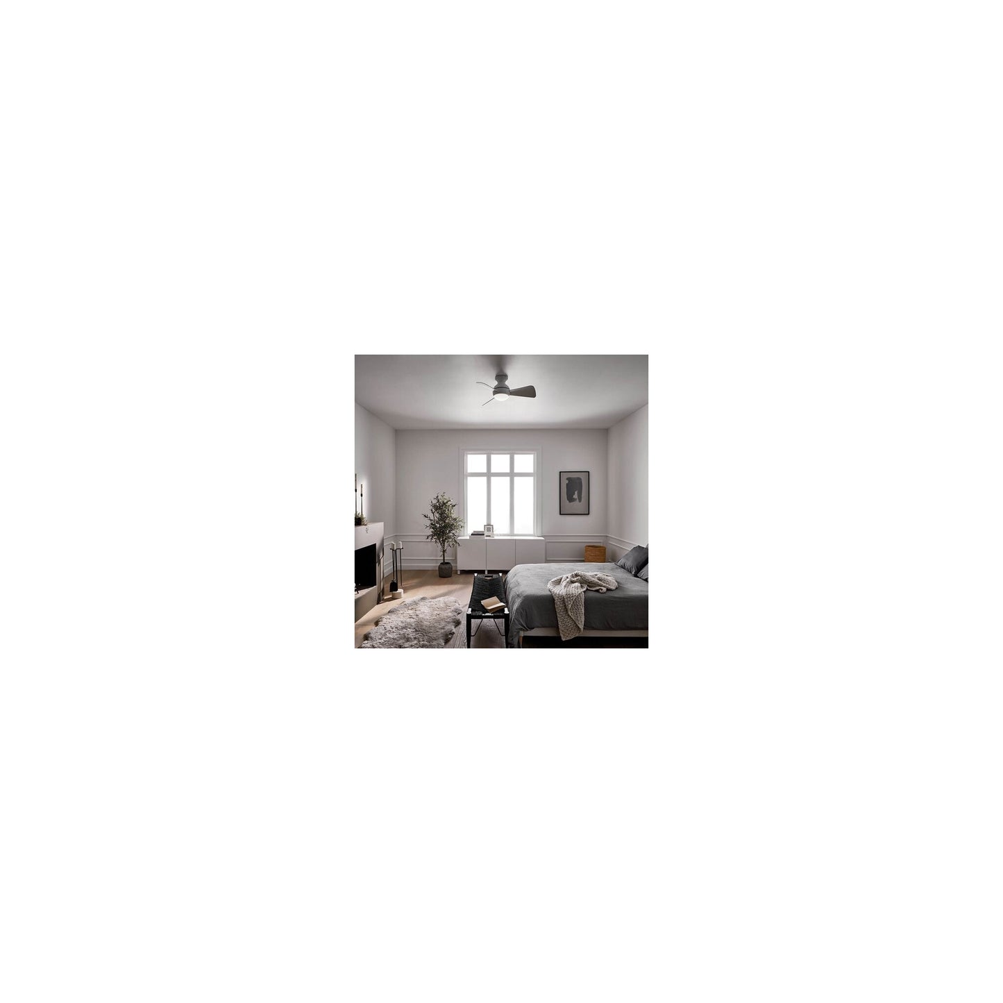 Sola Ceiling Fan & Light