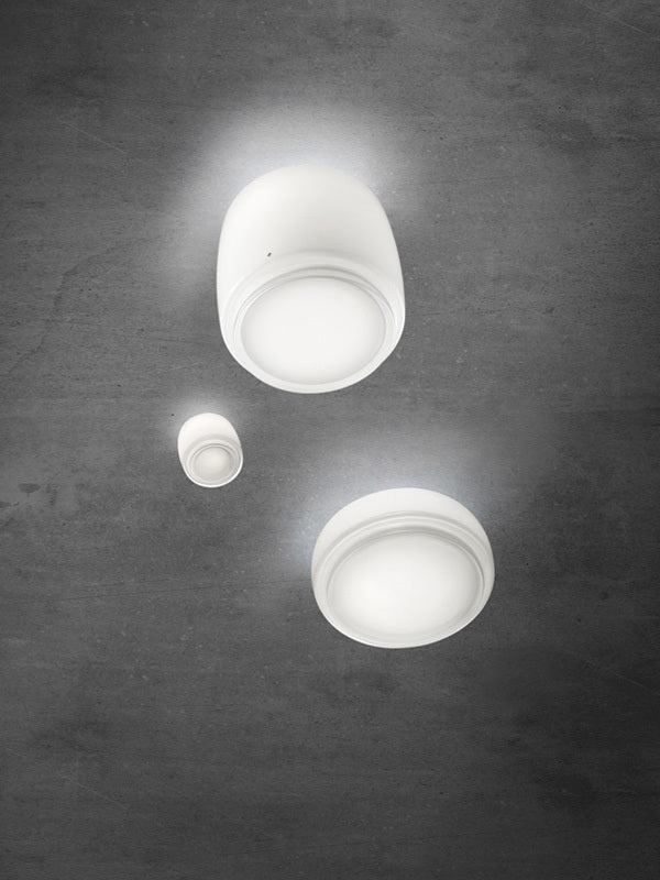 Bot FA 16 Wall/Ceiling Light