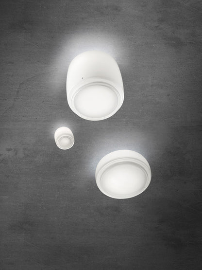 Bot FA 16 Wall/Ceiling Light