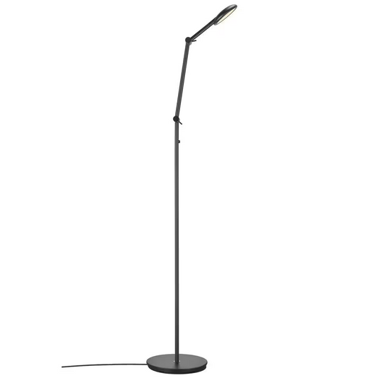 Bend Single LED Floor Lamp Black