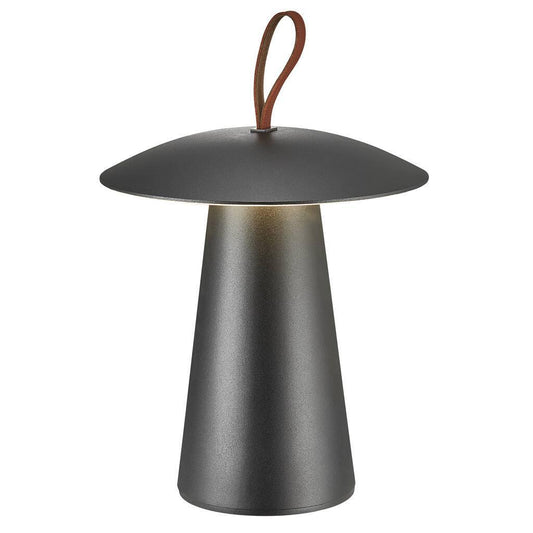 Ara To Go LED Portable Lamp