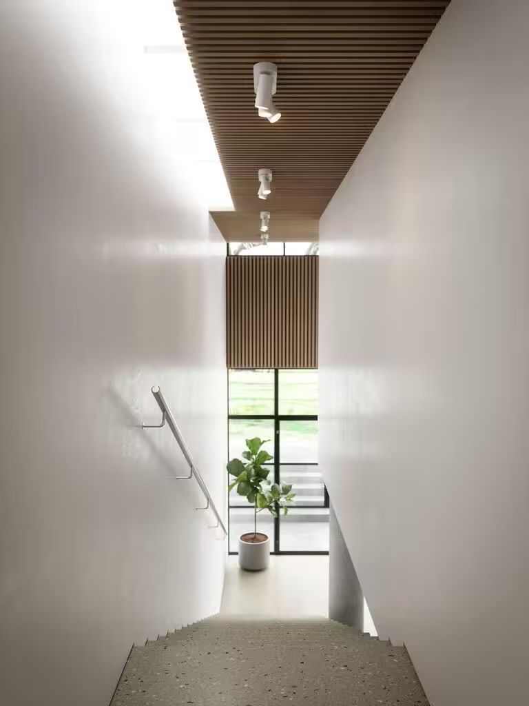 Mimi 3-Ceiling Spotlight