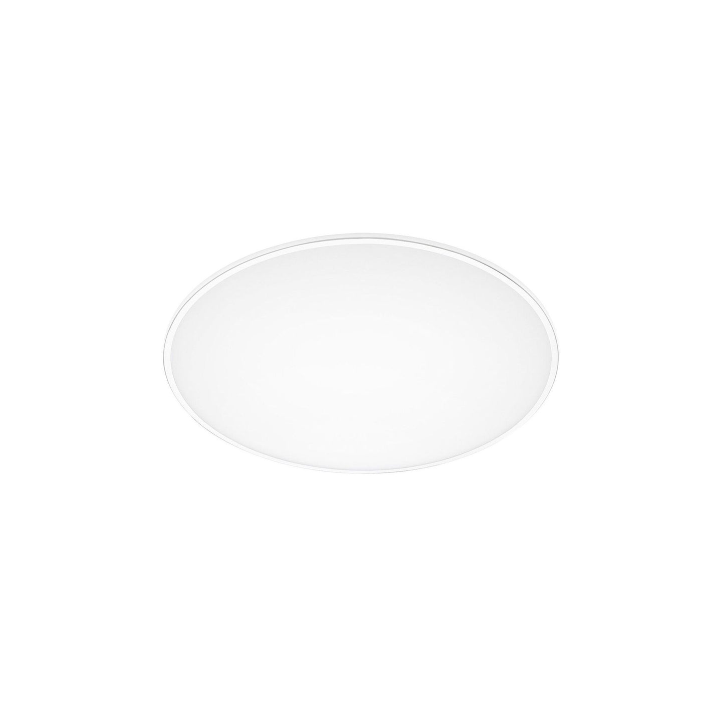 Big 0531 Ceiling Light