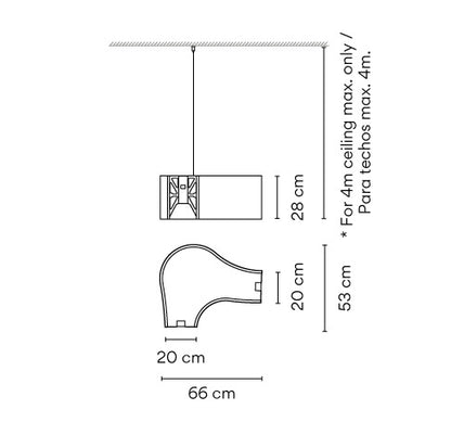 Ameba 2212 Pendant
