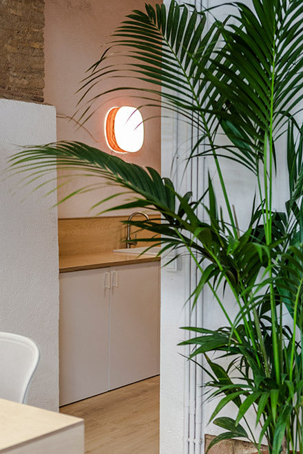 LZF Guijarros Wall/Ceiling Light