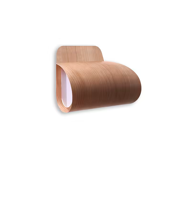 Pleg LED Wall & Ceiling Light