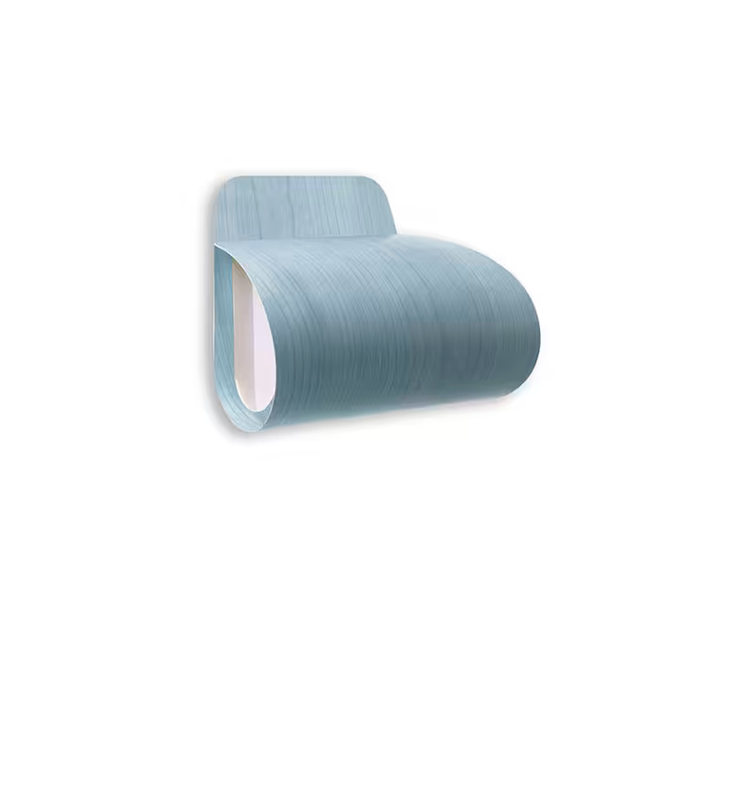 Pleg LED Wall & Ceiling Light