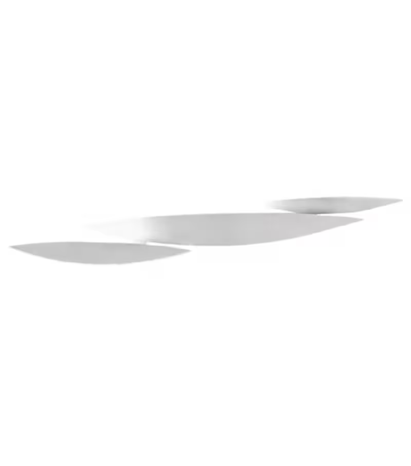 I Lucci Argentati LED Wall Light