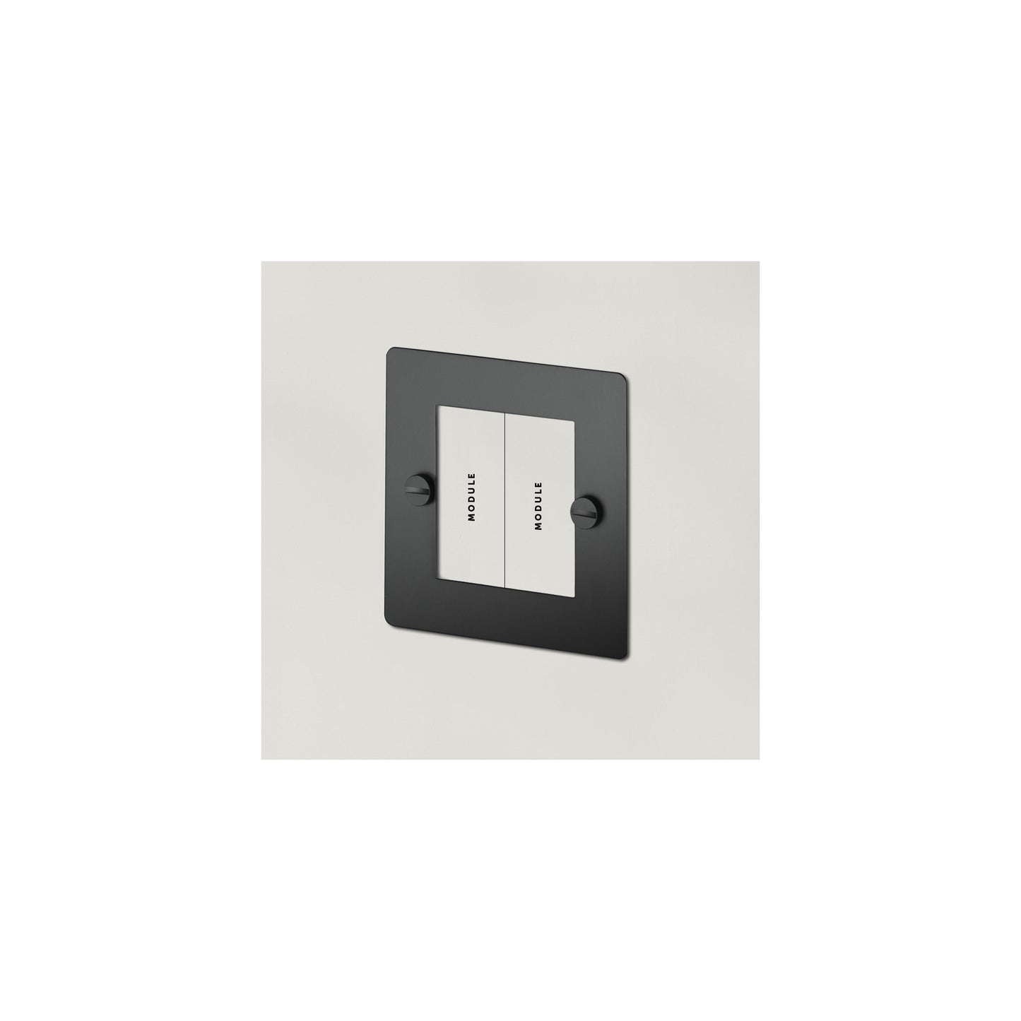 1G Euro Plate 2  Module