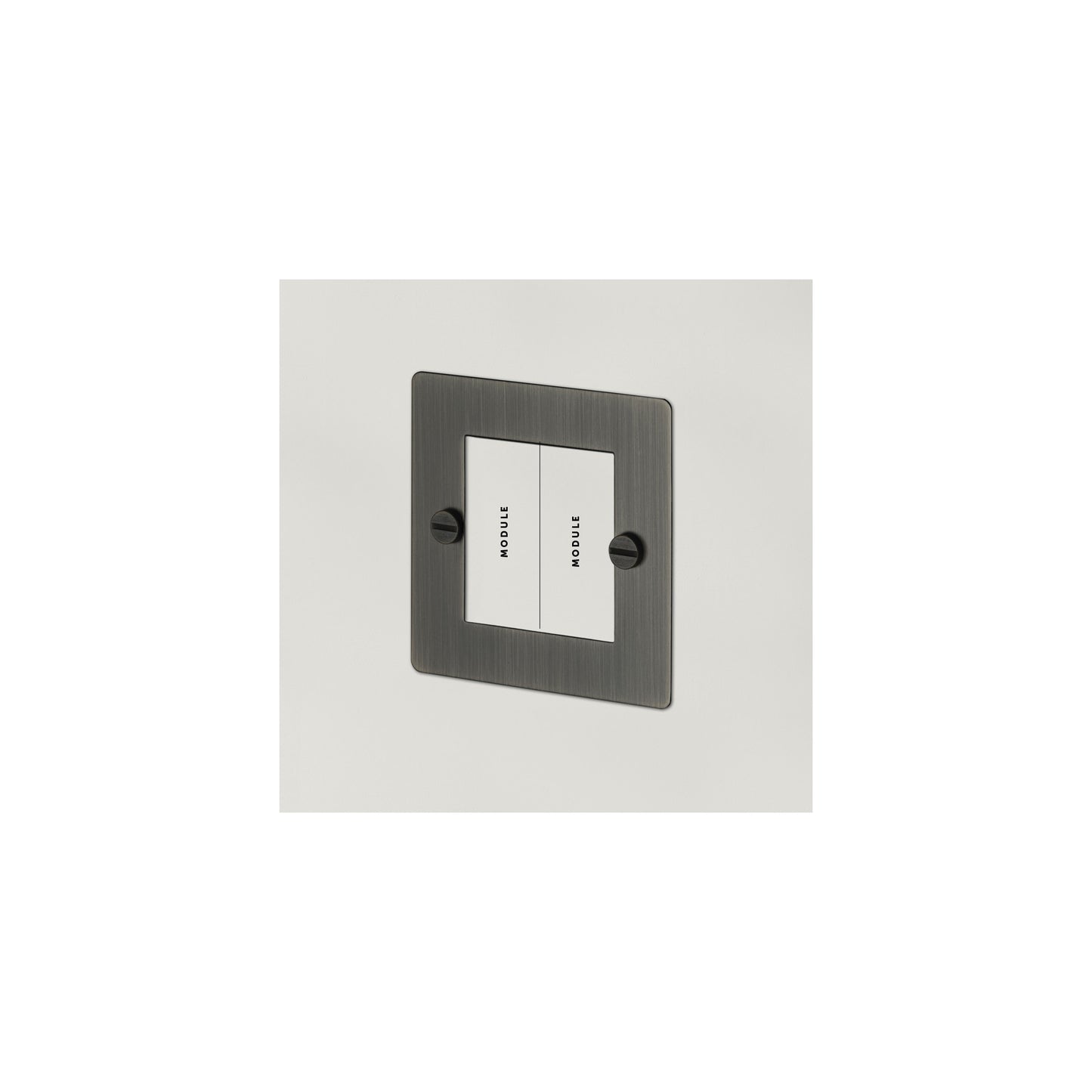 1G Euro Plate 2  Module
