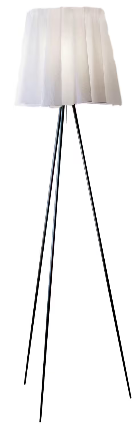 Rosy Angelis Floor Lamp with Glass Shade
