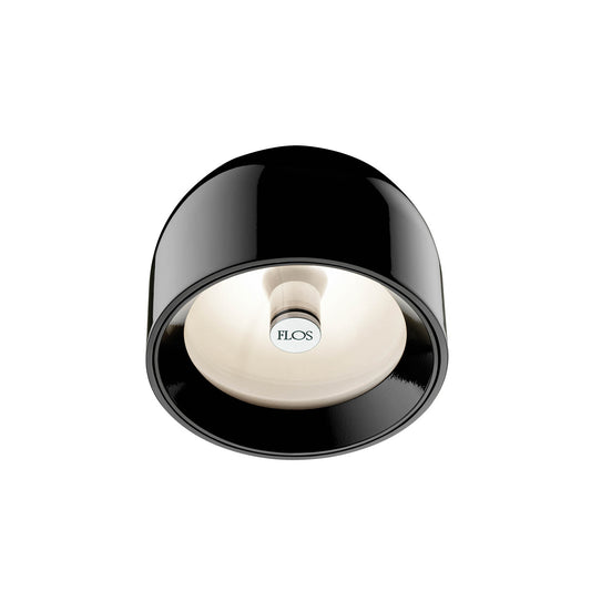 Wan Ceiling or Wall Light