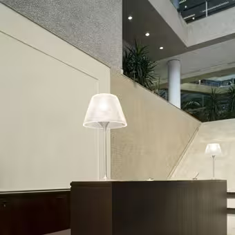 Romeo Moon T1 Table Desk Lamp