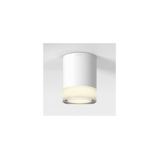 Ottawa Surface Downlight