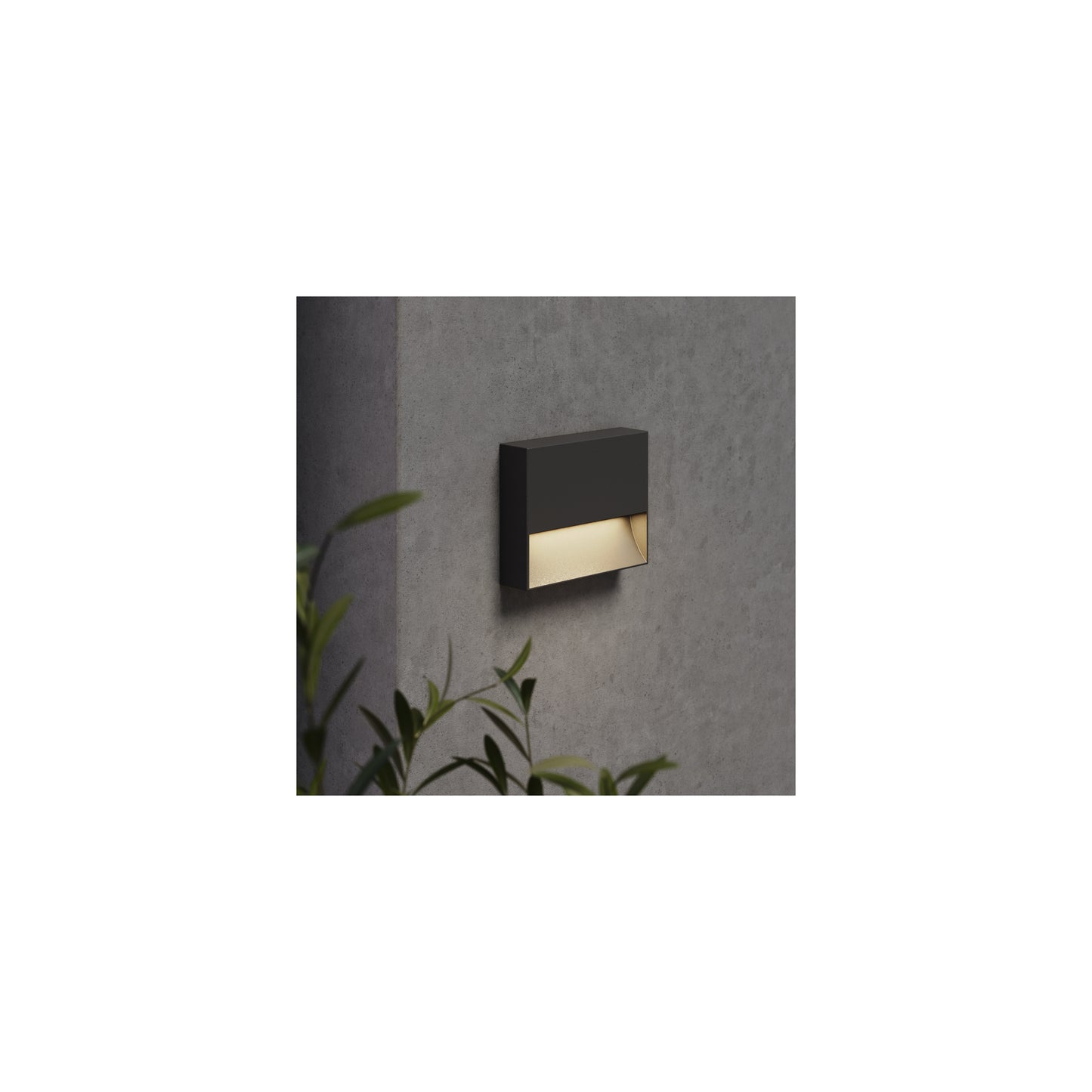 Mori 140 Exterior Wall Light in Textured Black