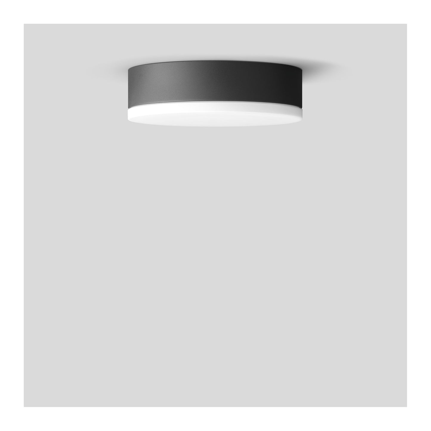 33632 Small Ceiling/Wall Light