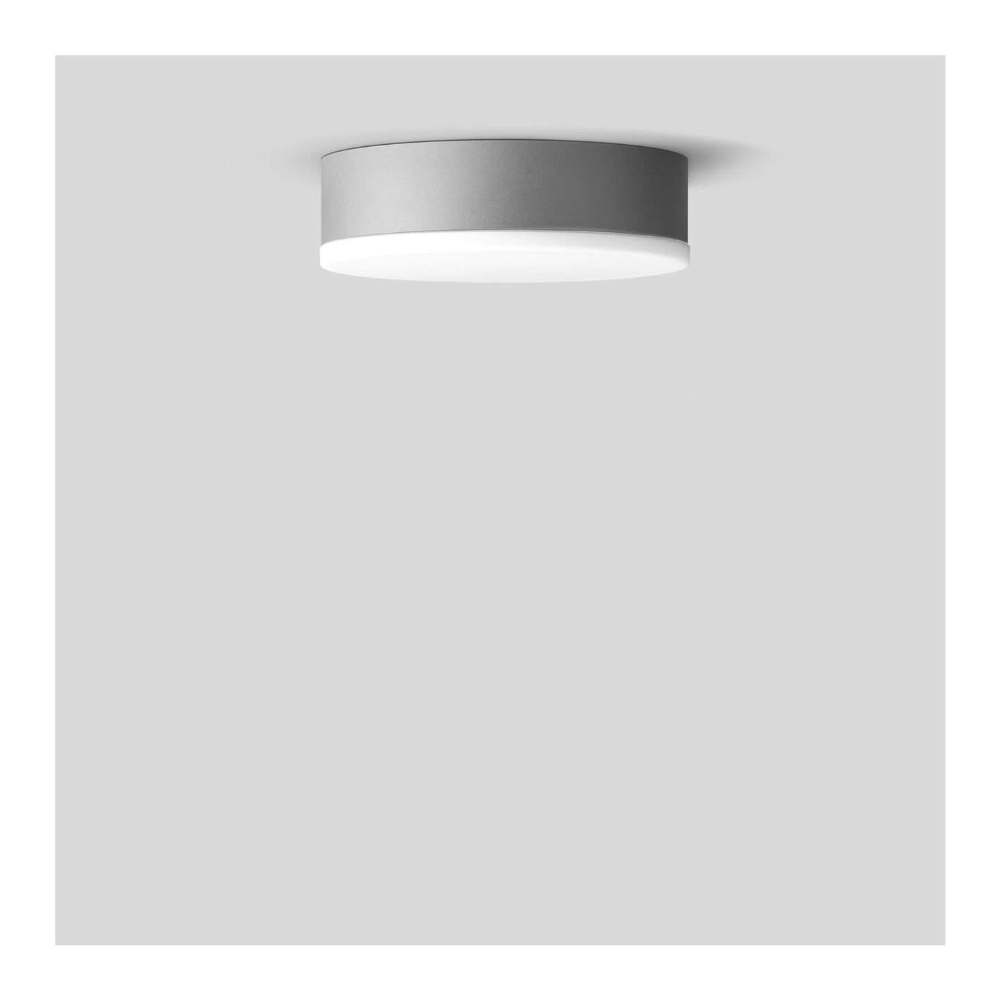 33636 Mini LED Ceiling/Wall Light