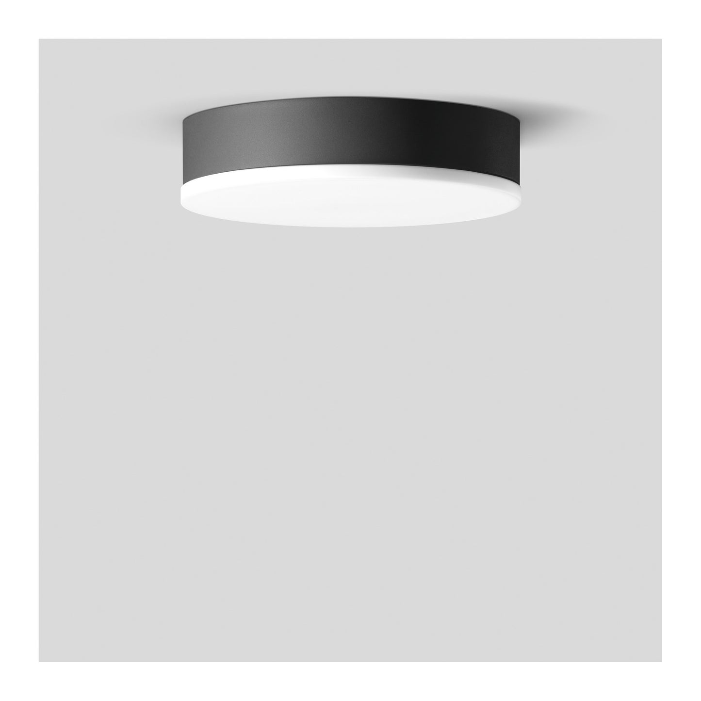 33639 Medium LED Ceiling/Wall Light