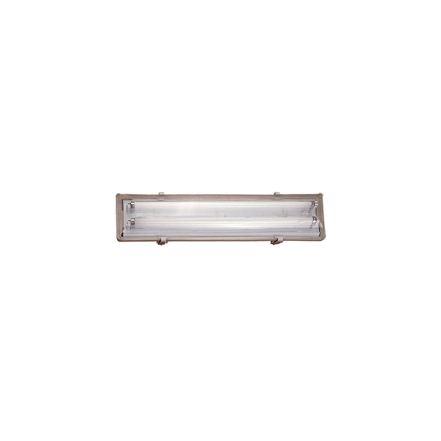 Works IP65 2-Light Outdoor Wall or Ceiling Light