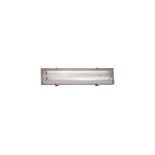Works IP65 2-Light Outdoor Wall or Ceiling Light