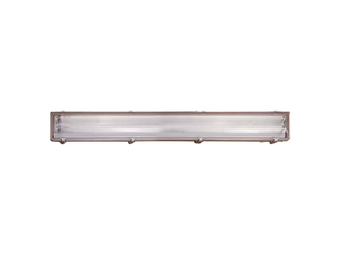Works IP65 2-Light Outdoor Wall or Ceiling Light