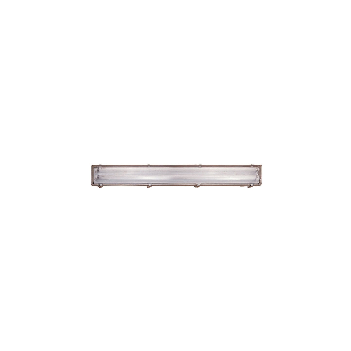 Works IP65 2-Light Outdoor Wall or Ceiling Light